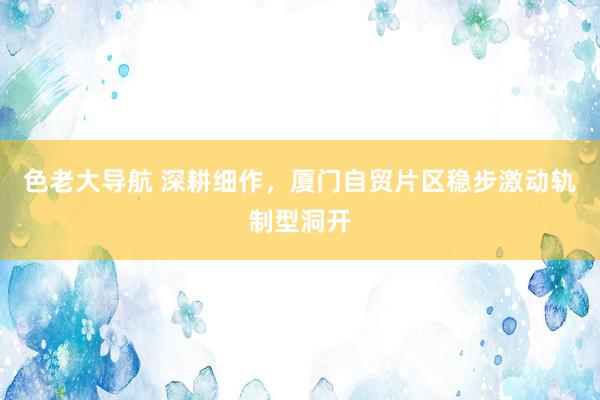 色老大导航 深耕细作，厦门自贸片区稳步激动轨制型洞开