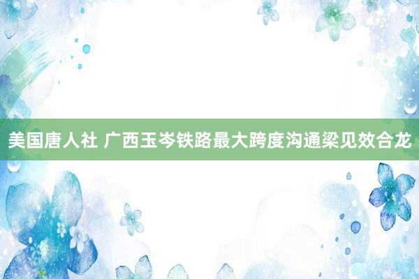 美国唐人社 广西玉岑铁路最大跨度沟通梁见效合龙