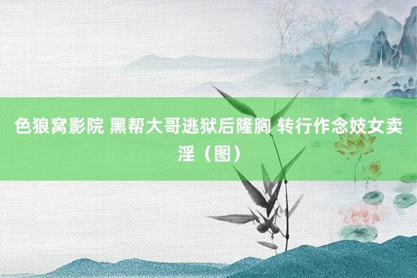 色狼窝影院 黑帮大哥逃狱后隆胸 转行作念妓女卖淫（图）