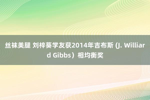 丝袜美腿 刘梓葵学友获2014年吉布斯 (J. Williard Gibbs）相均衡奖