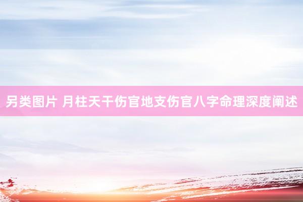 另类图片 月柱天干伤官地支伤官八字命理深度阐述