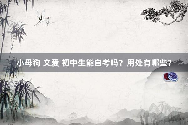 小母狗 文爱 初中生能自考吗？用处有哪些？