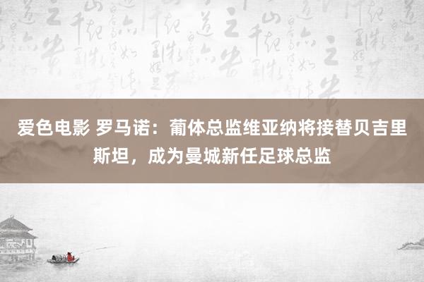 爱色电影 罗马诺：葡体总监维亚纳将接替贝吉里斯坦，成为曼城新任足球总监