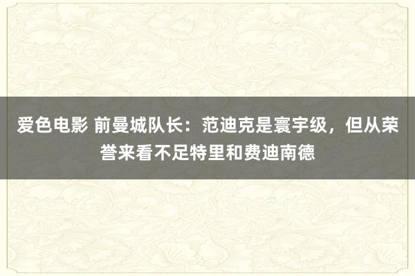 爱色电影 前曼城队长：范迪克是寰宇级，但从荣誉来看不足特里和费迪南德